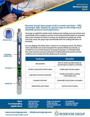 Thumbnail for Apex Memory Gauges Datasheet