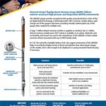 Thumbnail for QM200L Quartz Memory Gauge Datasheet