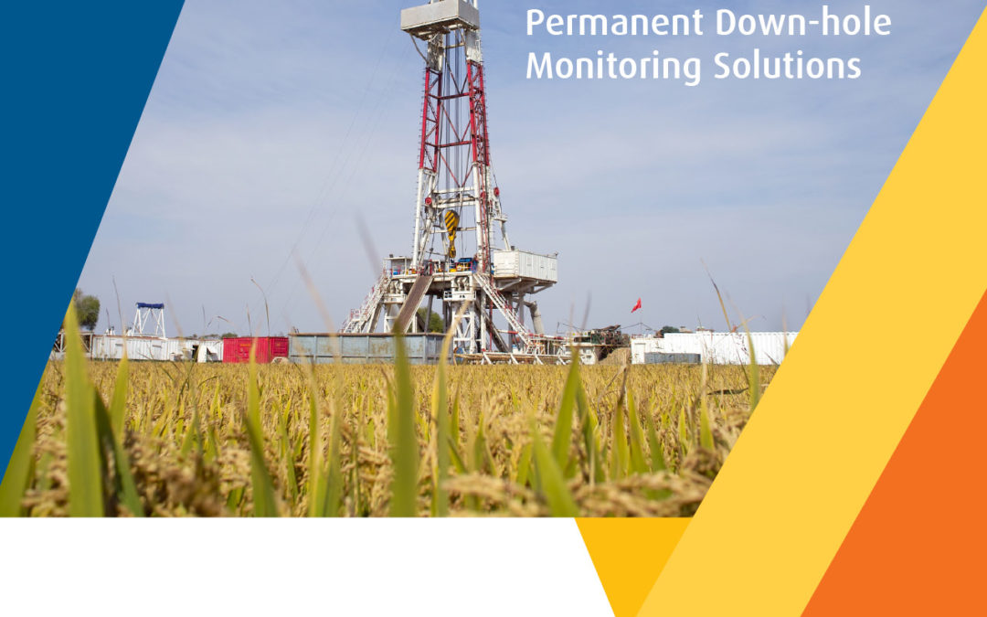 Permanent Down-hole Monitoring Solutions Brochure